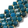 Natural Apatite Beads Strands G-M443-B06-02-1