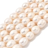 Natural Cultured Freshwater Pearl Beads Strands PEAR-I007-01E-02A-2