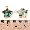 Natural Paua Shell Star Charms with Brass Edge SHEL-P017-15G-3