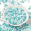 6/0 Opaque Baking Paint Glass Seed Beads SEED-M012-02A-23-2