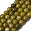 Natural Chinese Jade/Southern Jade Beads Strands X-G-F363-12mm-2