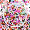 Glass Seed Beads SEED-K010-03O-3