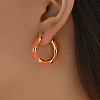 Stainless Steel Enamel Earrings Hoop Earrings LP9659-2-1