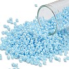 TOHO 8/0 Round Beads SEED-TR08-0124-1