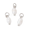 Natural Cultured Freshwater Pearl Potato Charms with Brass Jump Rings PALLOY-JF04176-02-1