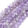 Natural Amethyst Beads Strands G-M445-8MM-01C-3