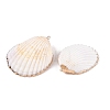 Natural Scallop Shell Big Pendants SSHEL-N038-13-1