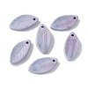 Natural Rainbow Alashan Agate Pendants G-G194-03A-1