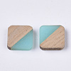 Resin & Walnut Wood Cabochons RESI-S358-A-90H-2