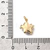 Brass Micro Pave Cubic Zirconia Charms KK-Q043-04G-3