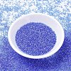 MIYUKI Delica Beads SEED-X0054-DB1250-2