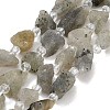 Natural Labradorite Beads Strands GG-CBA0B77-A20-02-2