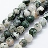 Natural Tree Agate Beads Strands G-I199-03-10mm-1