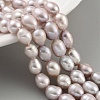 Natural Cultured Freshwater Pearl Beads Strands PEAR-P062-10B-2