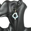Natural Gemstone Beaded Dangle Earrings EJEW-JE07215-7
