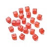 Transparent Acrylic Beads OACR-H044-04B-12-1