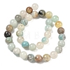 Natural Flower Amazonite Beads Strands G-F415-10mm-7