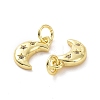 Brass Micro Pave Clear Cubic Zirconia Charms KK-E068-VF050-3