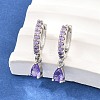 Brass Micro Pave Cubic Zirconia Hoop Dangle Earrings KK-Z166-13P-01-1