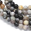 Natural Dendritic Opal Beads Strands G-R494-A23-02A-3
