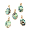 Constellation Natural Paua Shell Pendants KK-P265-01G-12-1