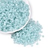 FGB Grade A Frosted Glass Seed Beads SEED-Q040-04A-02-2