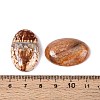 Dyed Natural Fire Agate Cabochons X-G-Q957-02B-20x30-3