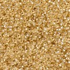 MIYUKI Round Rocailles Beads X-SEED-G007-RR0002-3