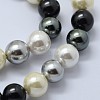 Shell Pearl Beads Strands BSHE-K053-04-8mm-11-3