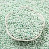 Macaron Color Opaque Frosted Glass Seed Beads SEED-K009-12B-07-2