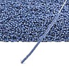 MIYUKI Delica Beads X-SEED-J020-DB2317-4