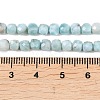 Natural Larimar Beads Strands G-F803-C01-01A-5