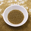 MIYUKI Delica Beads SEED-MY11-DB0118-2