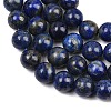 Natural Lapis Lazuli Beads Strands G-S333-10mm-013-7