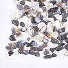 Black Lip Shell Beads MRMJ-S034-07-2