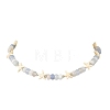 Natural Banded Agate Bead Necklaces NJEW-JN06623-2
