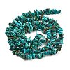 Natural HuBei Turquoise Beads Strands G-B089-A01-02-3