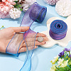 2 Rolls Polyester Mesh Ribbons SRIB-TA0003-42A-6
