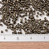 MIYUKI Delica Beads Small X-SEED-J020-DBS0022-4