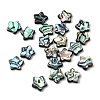 Natural Abalone Shell/Paua Shell Beads SHEL-B003-06-1