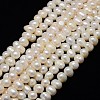 Natural Cultured Freshwater Pearl Beads Strands PEAR-L001-04-02-1