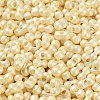 Glass Seed Beads SEED-L011-04A-09-3