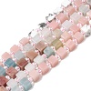 Natural Howlite & Pink Opal & Flower Amazonite & Rhodonite & Tiger Eye Beads Strands G-H333-03A-2
