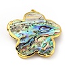 Natural Paua Shell Pendants KK-G409-11G-3