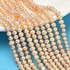 Natural Cultured Freshwater Pearl Beads Strands PEAR-L034-02-1