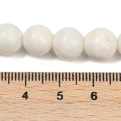 Natural White Shell Beads Strands BSHE-U001-01B-1