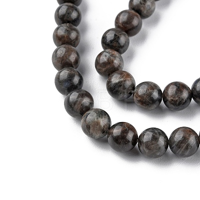 Natural Labradorite Beads Strands G-G0003-C03-12mm-1
