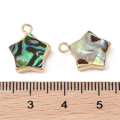 Natural Paua Shell Star Charms with Brass Edge SHEL-P017-15G-1