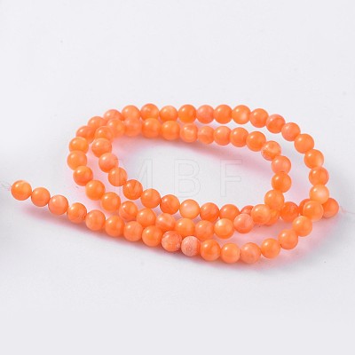 Natural Shell Beads Strands PRS002Y-1