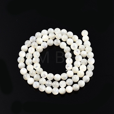 Natural White Shell Bead Strands SSHEL-N003-144D-01-1